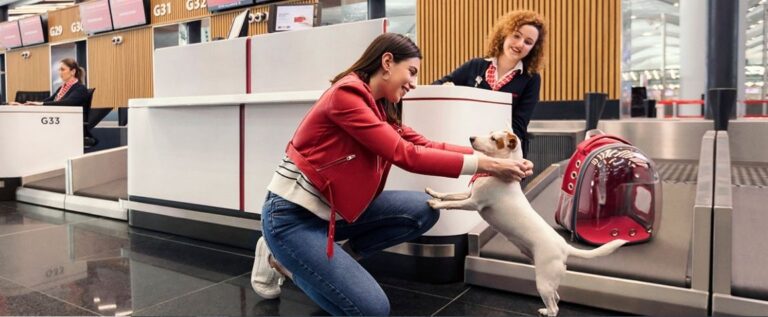 turkish-airlines-pet-policy-tips-on-flying-with-pets