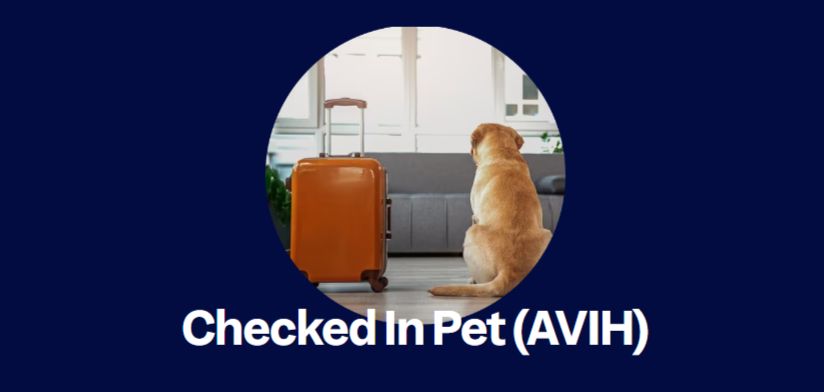 Aeromexico Pet Policy for Checked Pets (AVIH)
