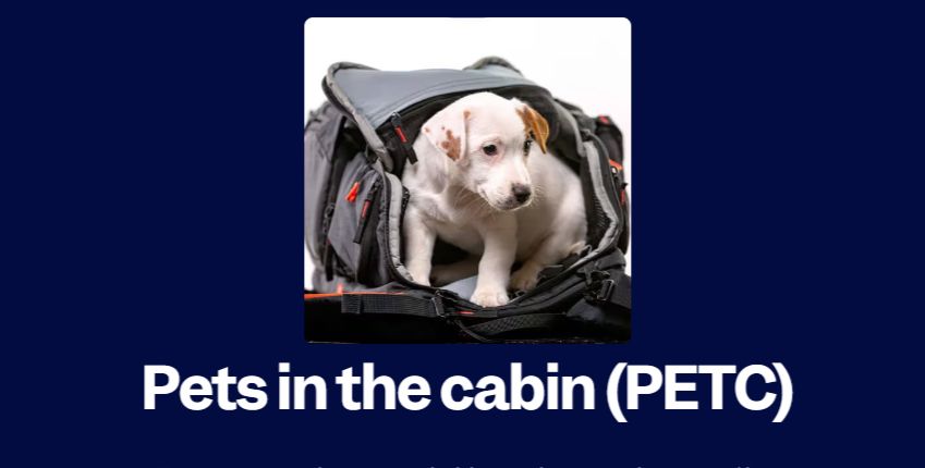 Aeromexico Pet-in-Cabin (PETC) Policy